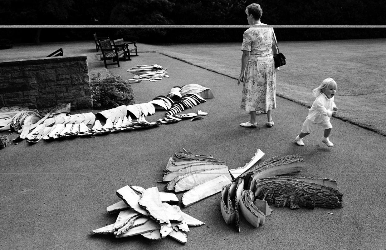 GB. SCOTLAND. Sculptures Exposed.  Edinburgh Botanical Gardens. Sculpture in wood by Tim Stead. 1993.