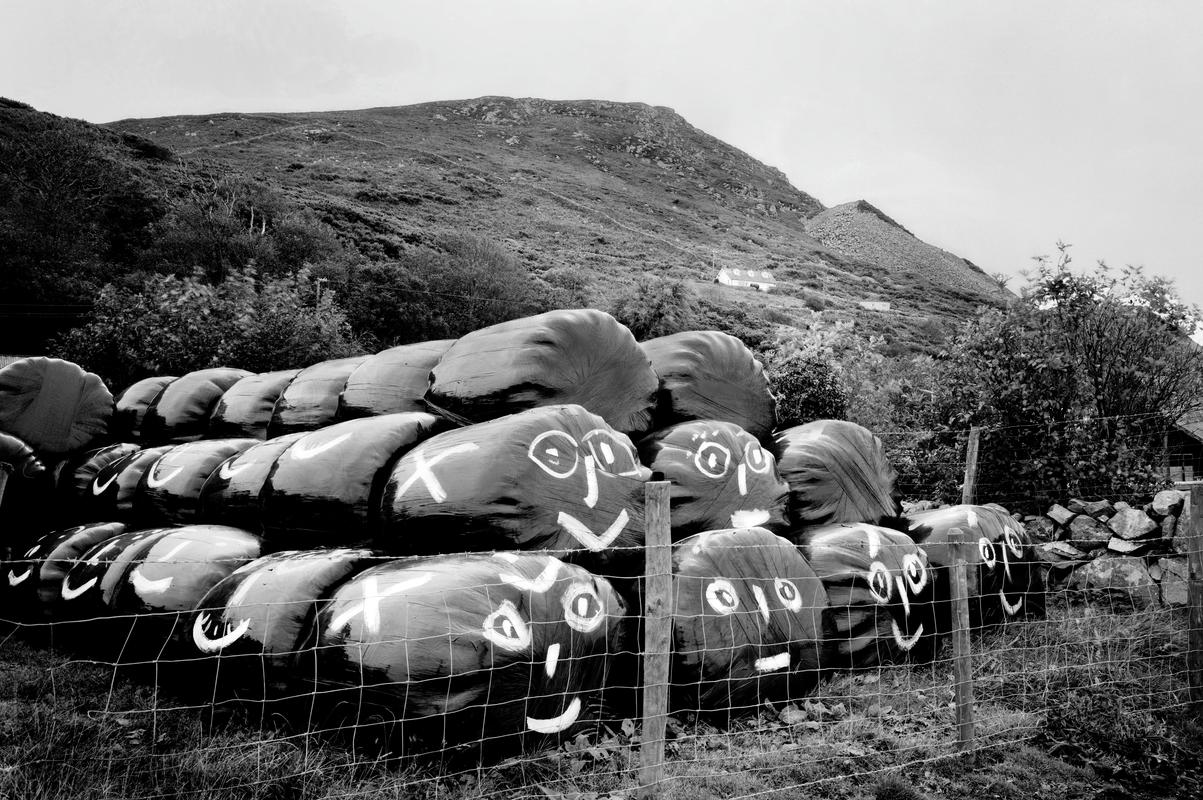 GB. WALES. Lleyn Peninsula. Hay bales with art decoration. 1996.