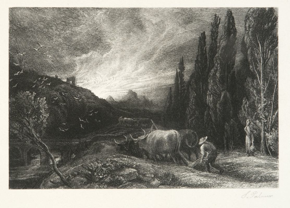 The early ploughman