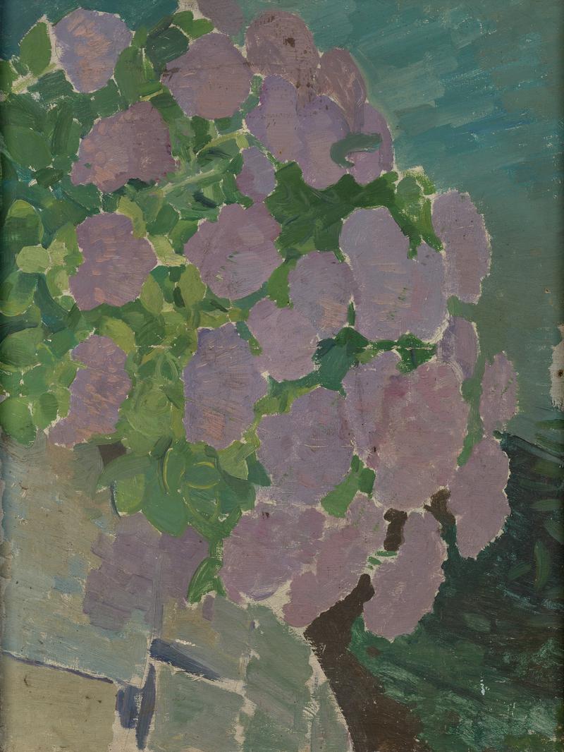Hydrangeas