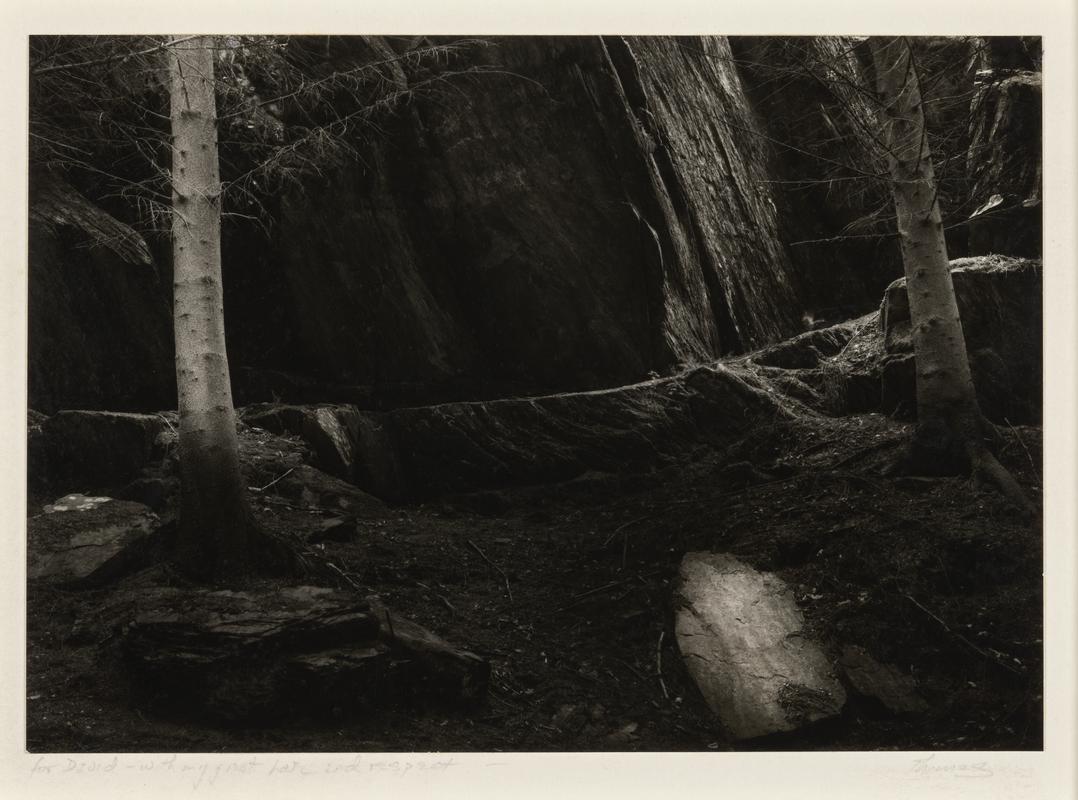 Ritual Guardians #2, near Bettws-y-Coed, Wales