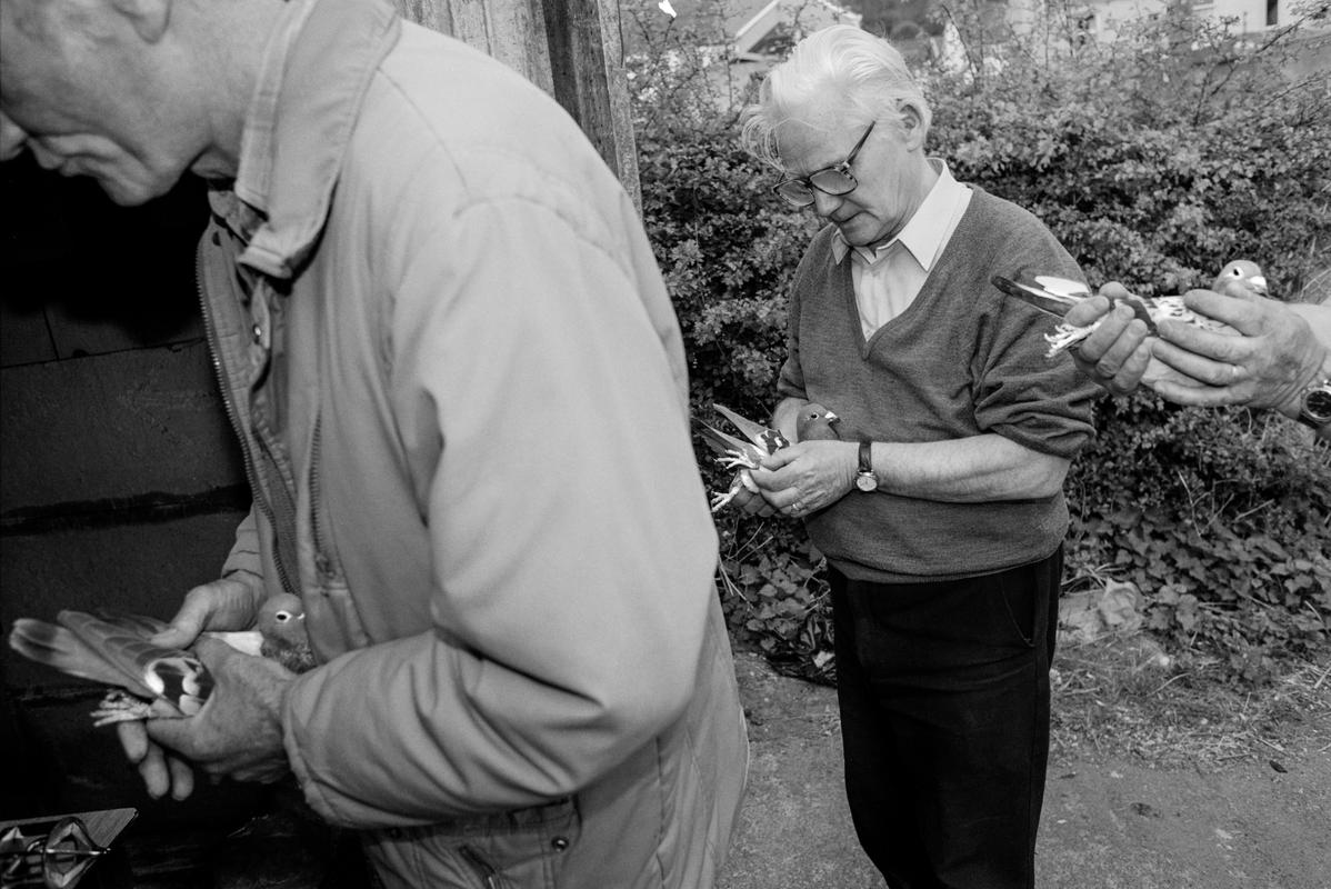 GB. WALES. Cwm. Pigeon club. Giving numbers before race. 1998.