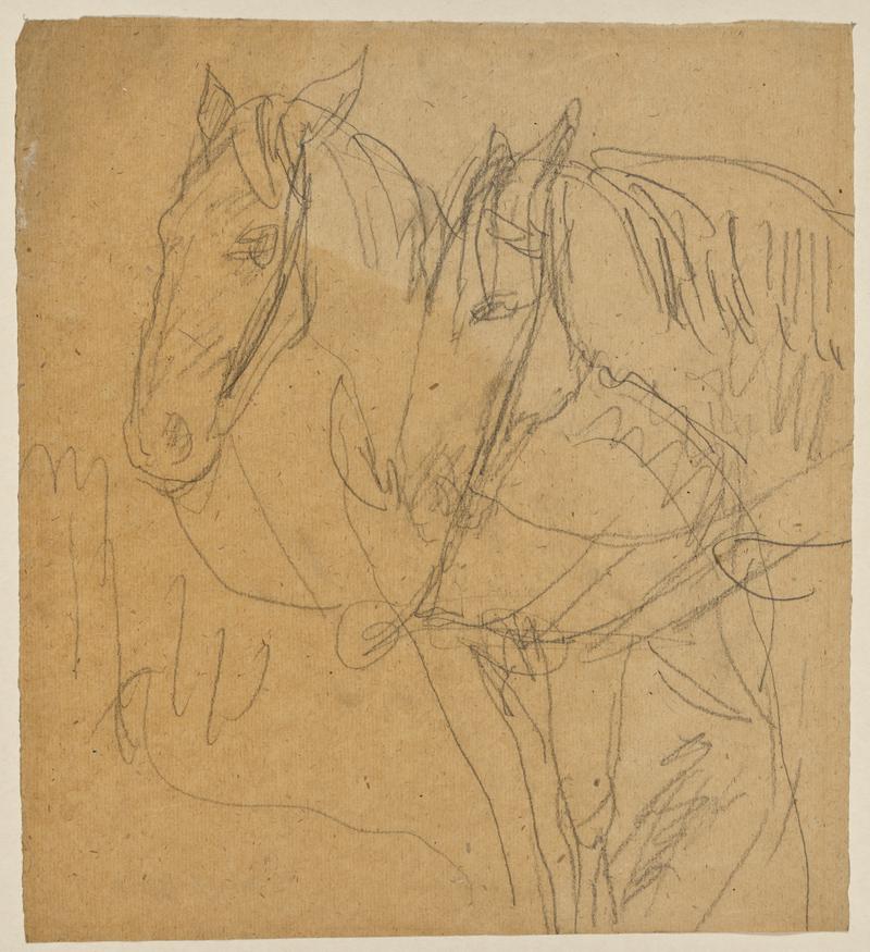 Horses in Harness