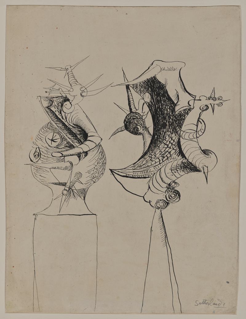 Two studies of thorn heads