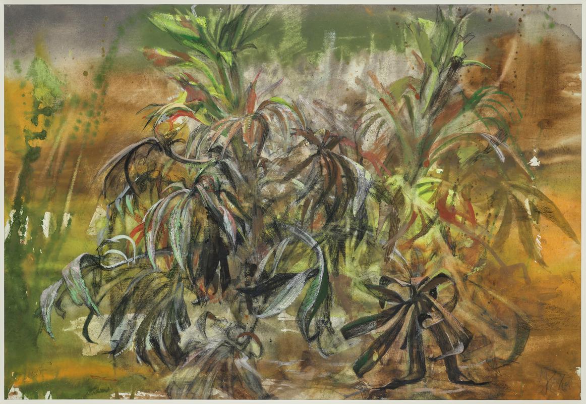 Exotic foliage