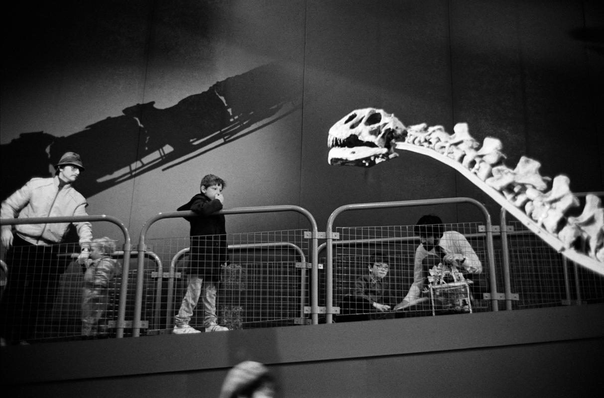 GB. WALES. Cardiff. Dinosaurs from China at the National Museum of Wales.  Cardiff.  Wales. 1986