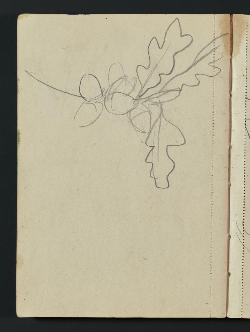 Sketchbook