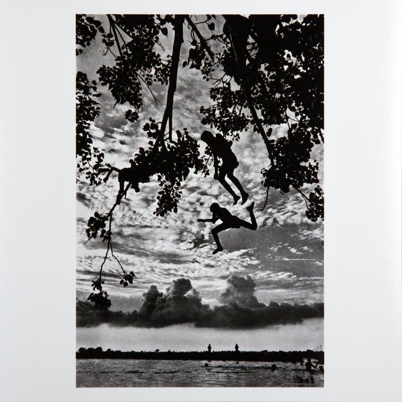 Untitled - Trees Series