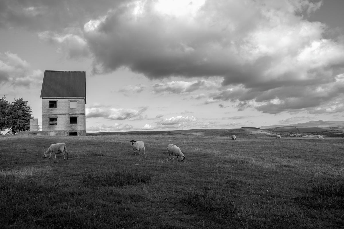 GB. WALES. Sennybridge. SAS / Army war training village. 2010.