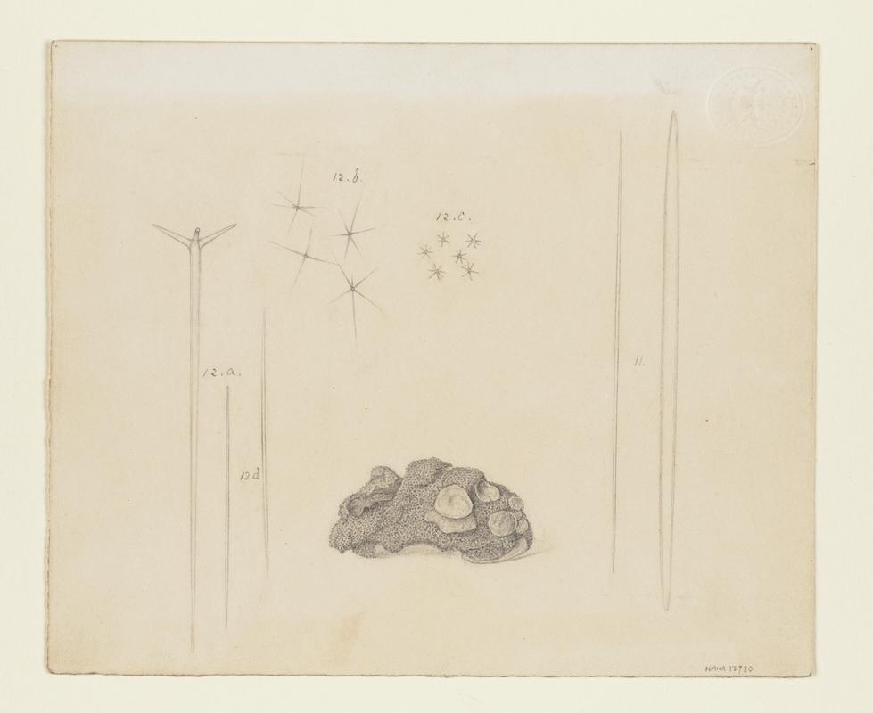 Scientific drawings