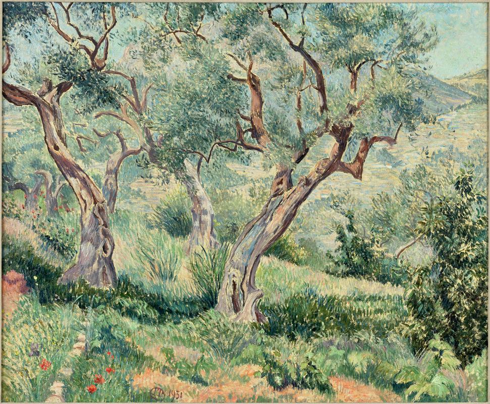 Les Oliviers du Cabanon, Toulon/ The Olive Trees by the Hut, Toulon