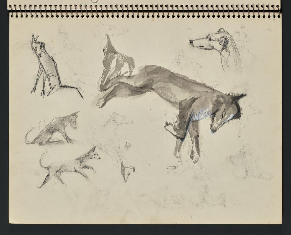 Sketchbook: Mainly Skomer - cats, dogs, horses, portraits