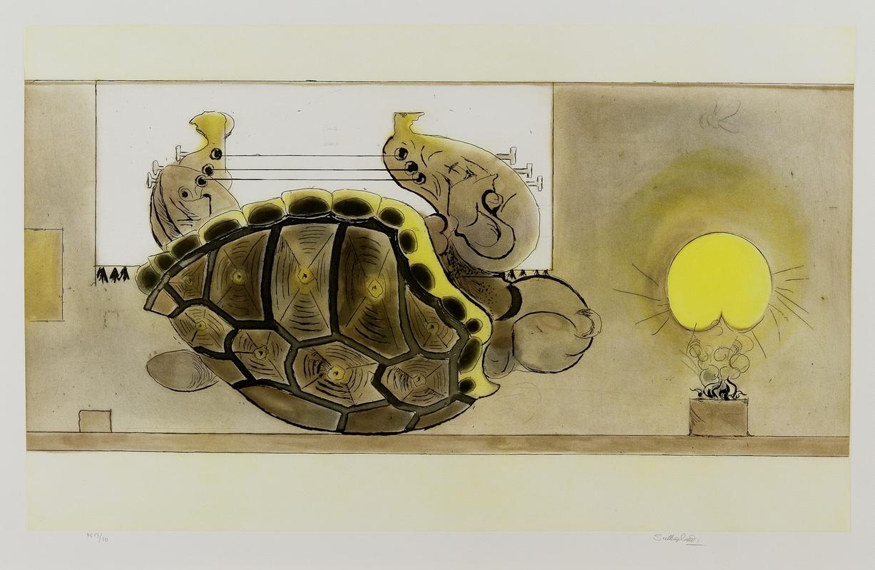 The Tortoise