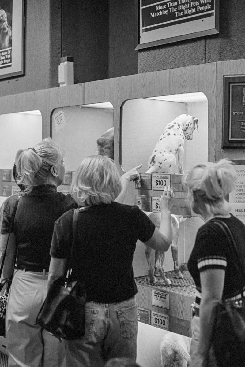 USA. ARIZONA. Tempe Mall pet shop. 1997.