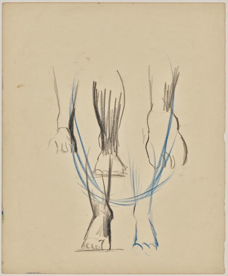 Study of feet