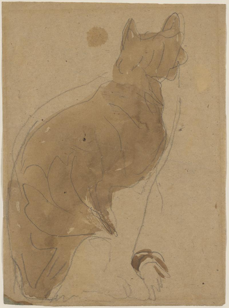 Seated ginger cat