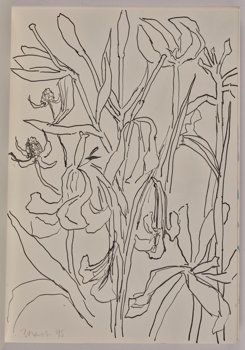 Sketchbook
