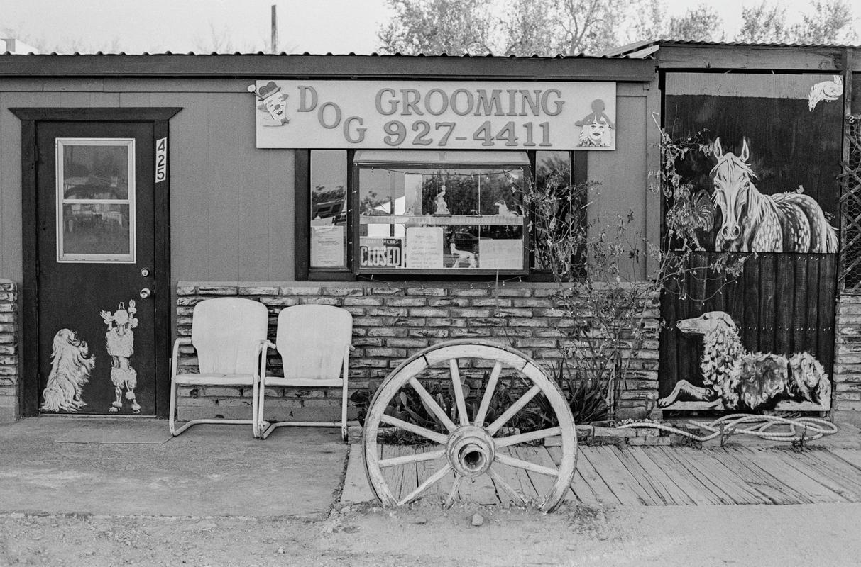 USA. ARIZONA. Quartzsite. A winter desert mobile town. The pet parlour. 1997.