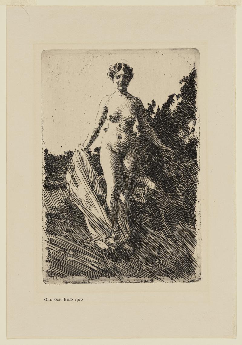 The Bather