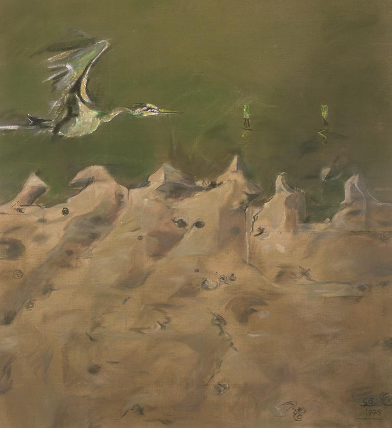 Bird Over Sand