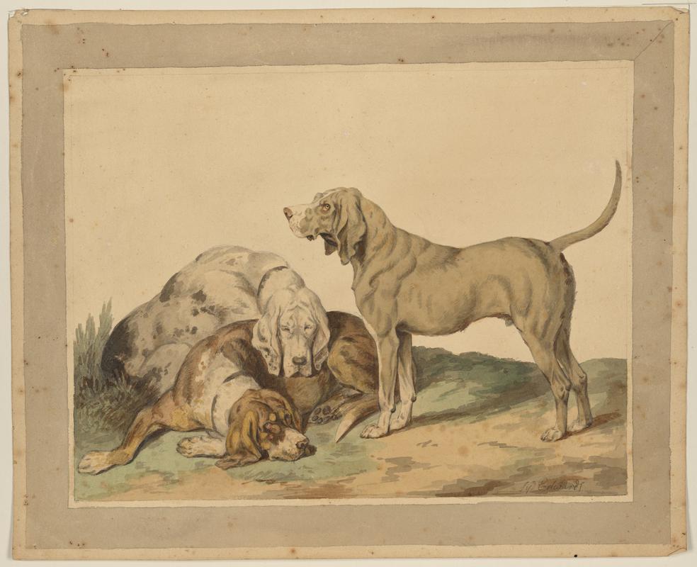 Bloodhounds