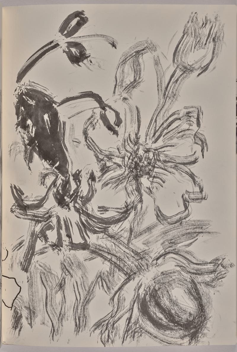 Sketchbook