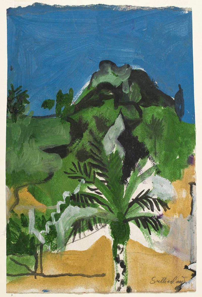 Palm in a landscape