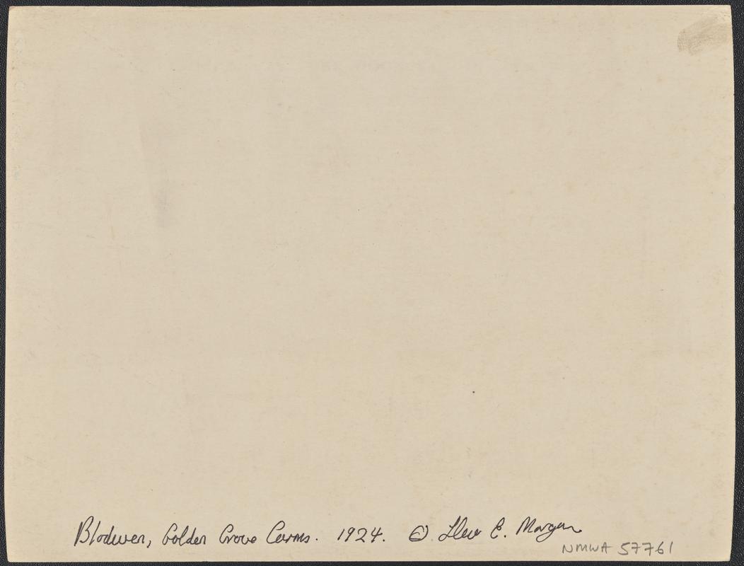 Blodwen, Golden Grove Carms