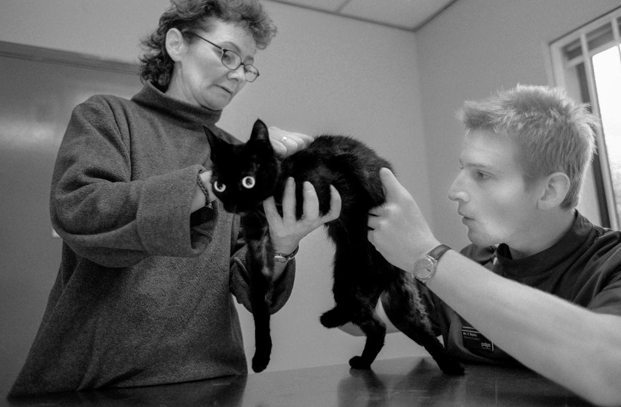 GB. WALES. Cardiff. Bute Town - once known as Tiger Bay. Free veterinary treatment at the PDSA centre in Bute Street. 2003