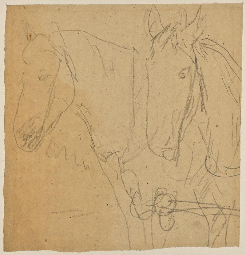 Horses in Harness