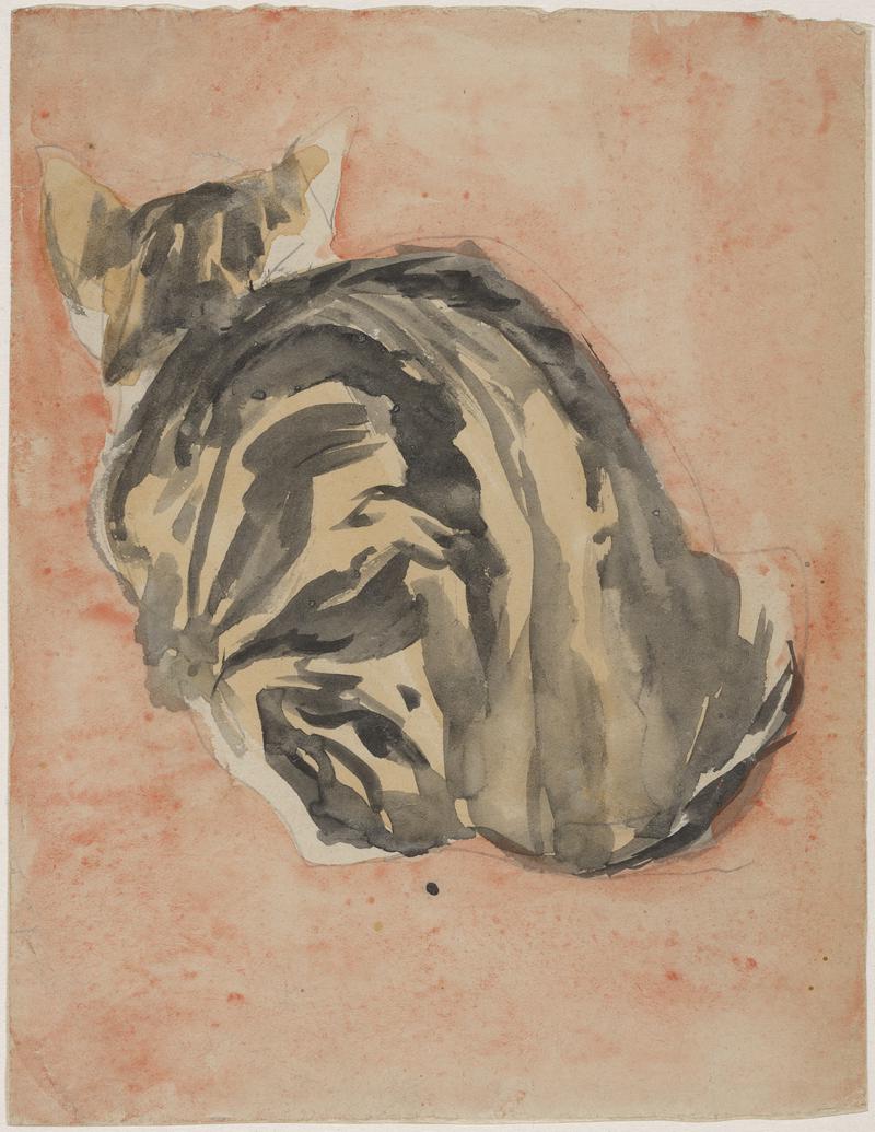 Seated tortoiseshell cat