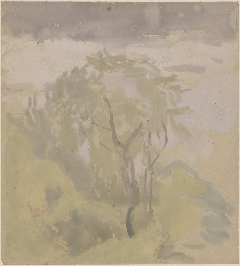 Trees