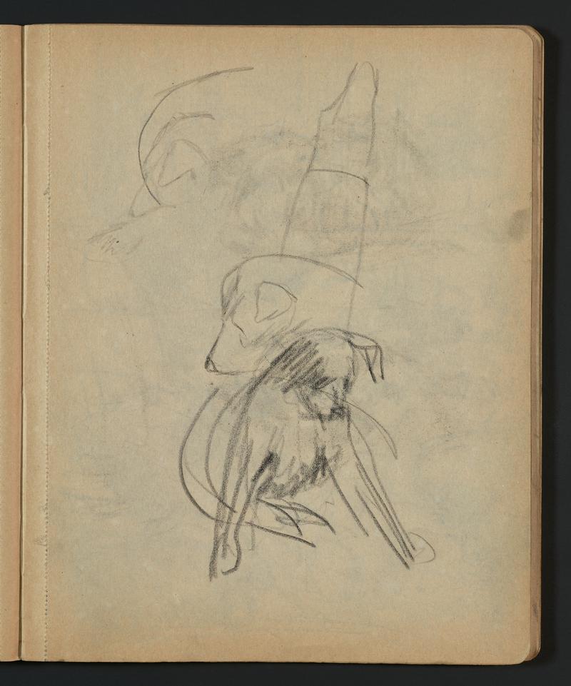 Sketchbook