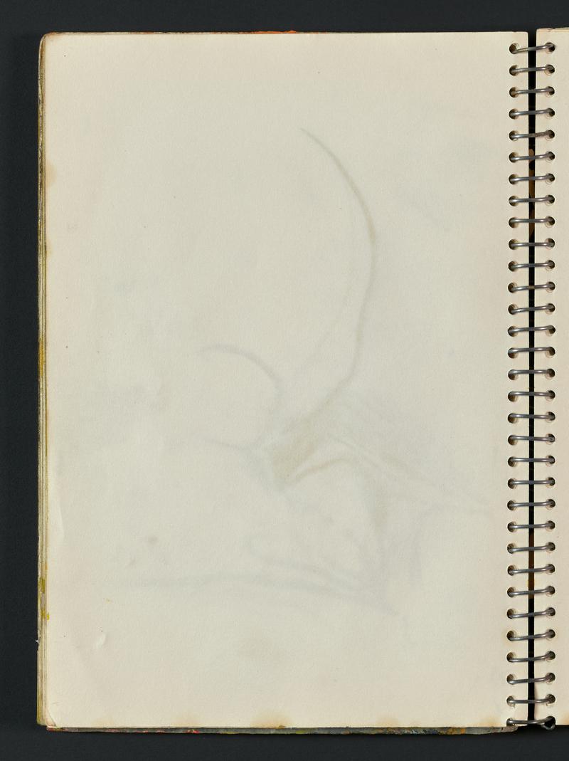 Sketchbook