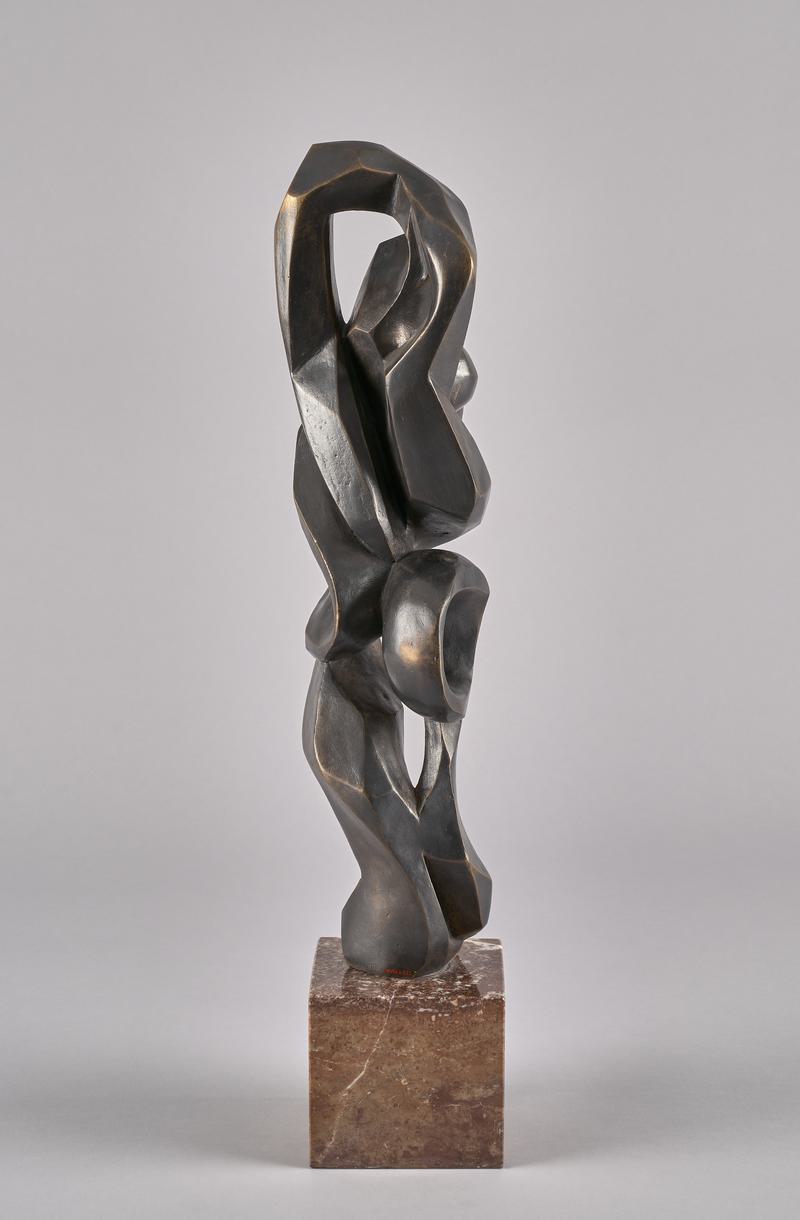 Torso