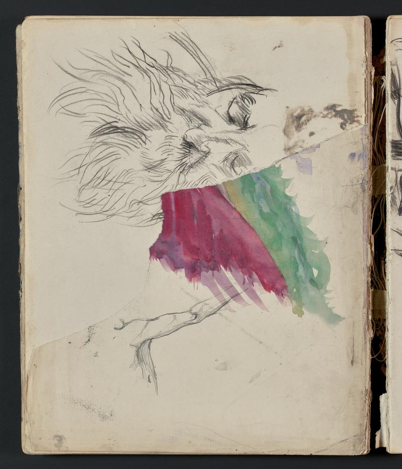 Sketchbook