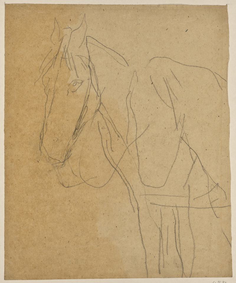 Horses in Harness