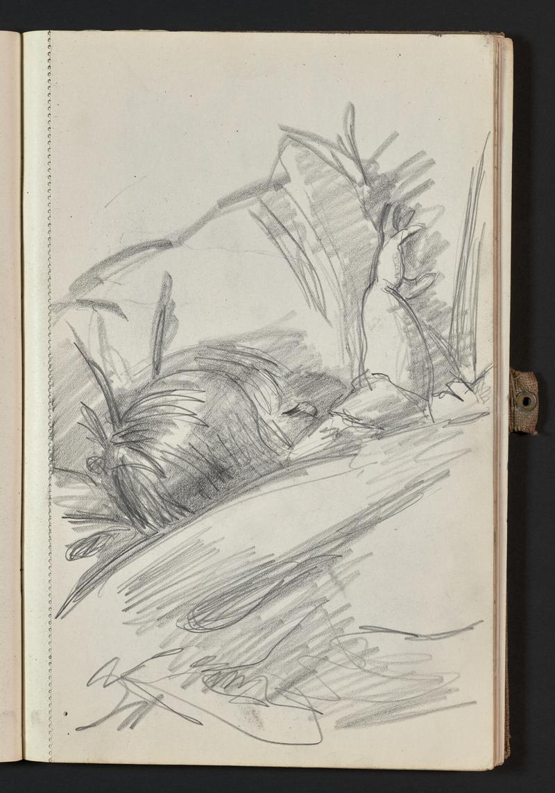 Sketchbook