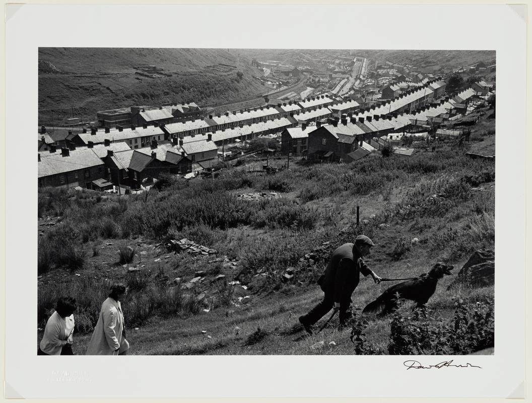 Valleys Man Walking Dog