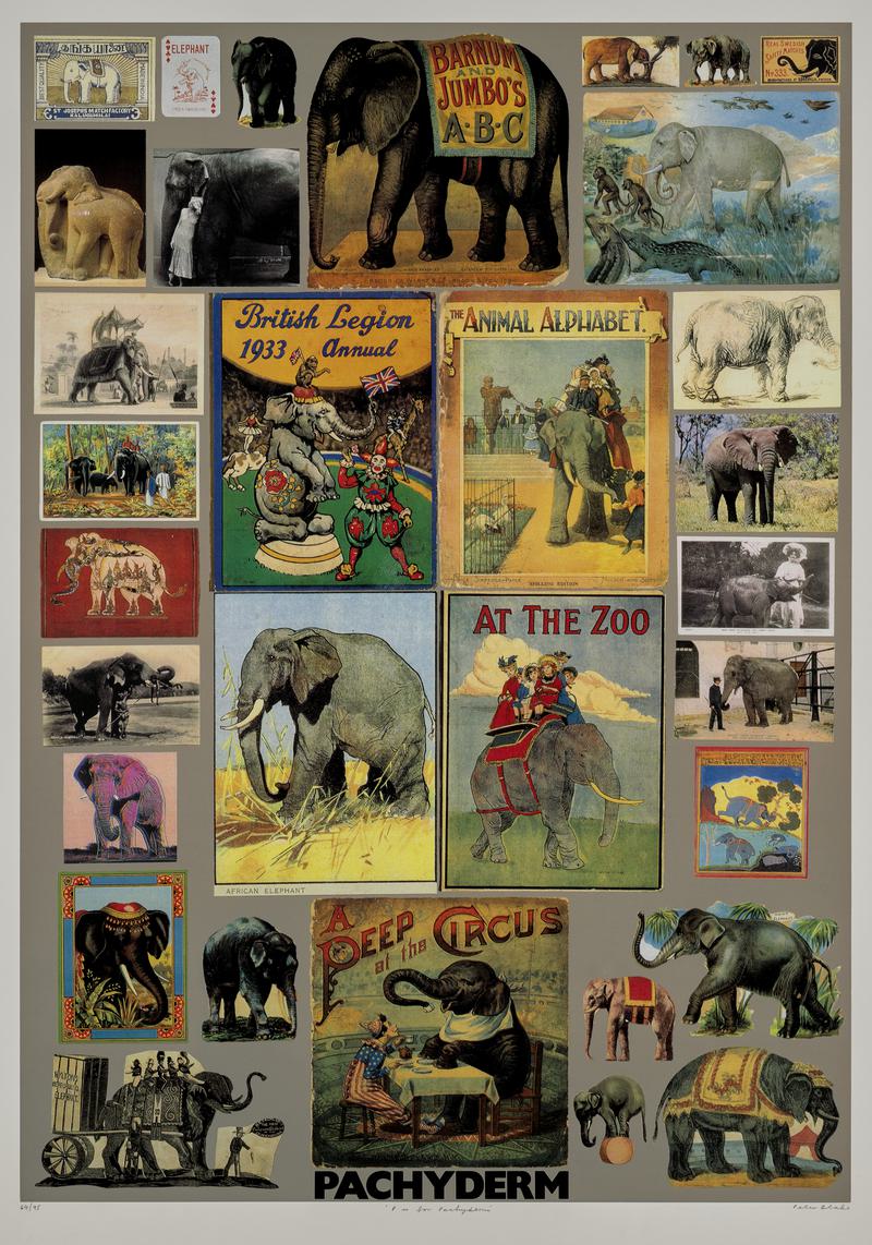 P is for Pachyderm
