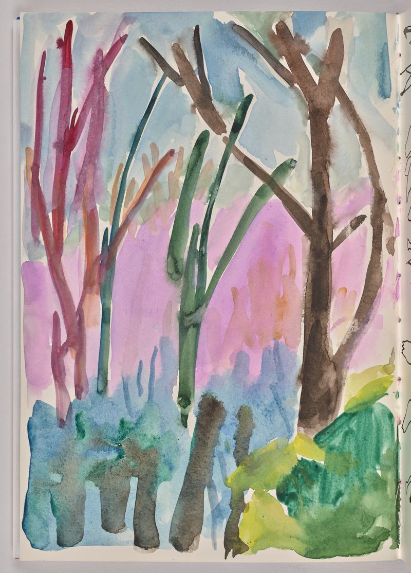 Sketchbook