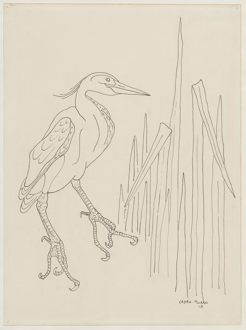 A Heron