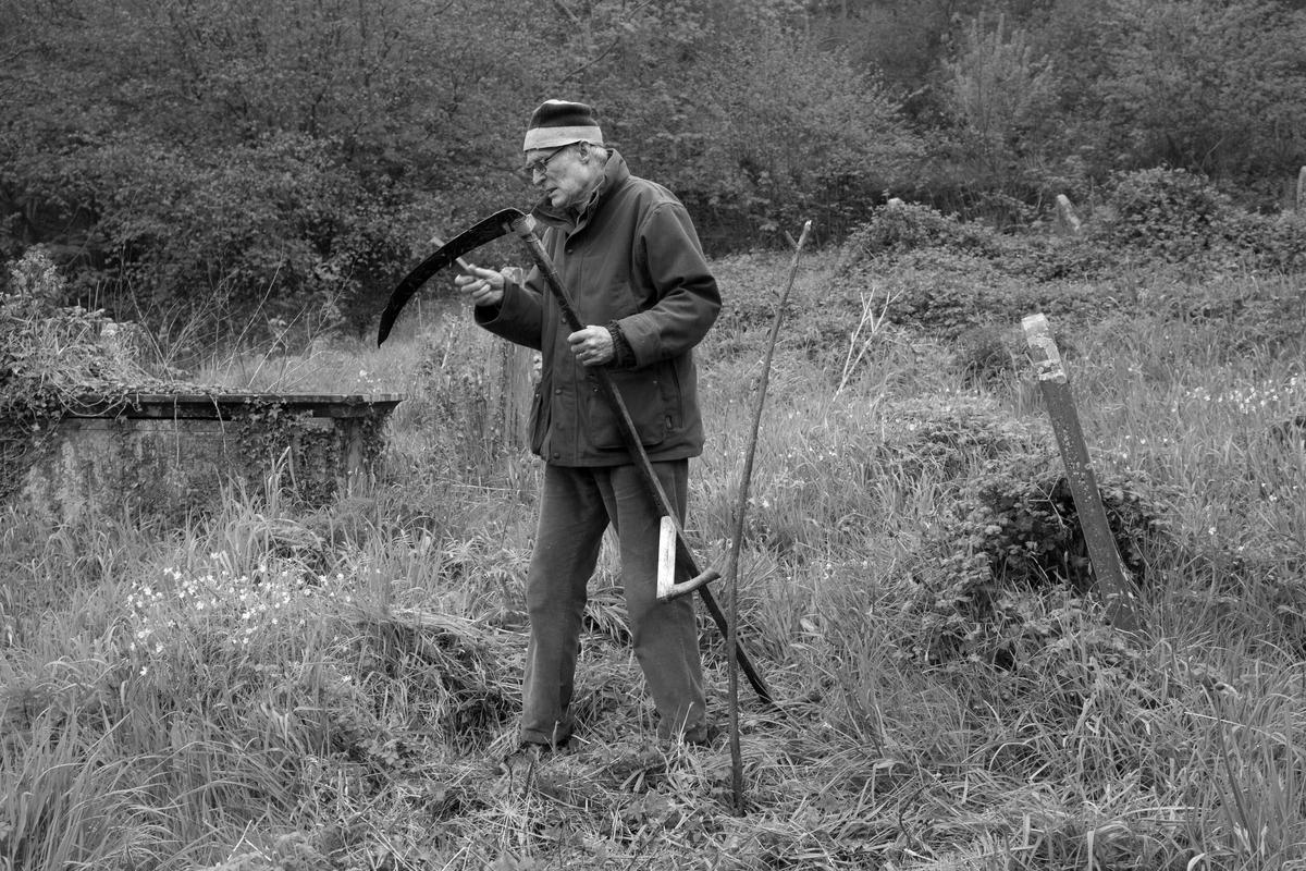 GB. WALES. Tintern. "Bracken Bashing" in St Mary's Churchyard. 2013.