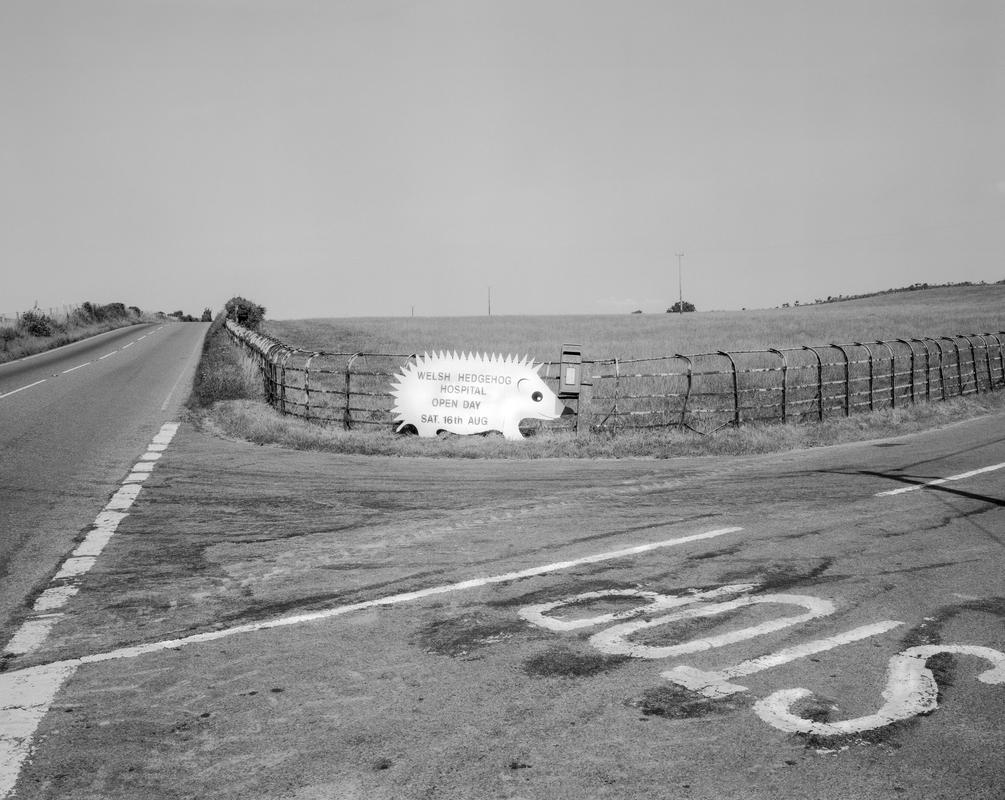 GB. WALES. Llanddeiniol. To the Hedgehog Hospital. 1997.