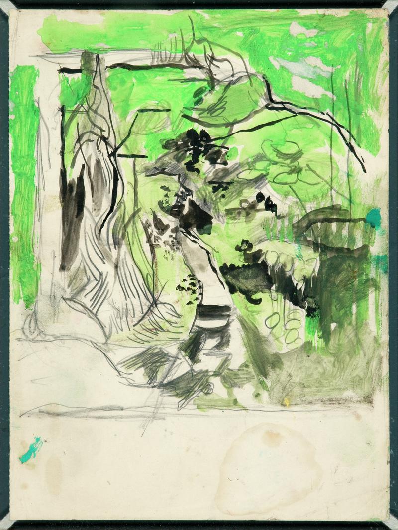 Vine study