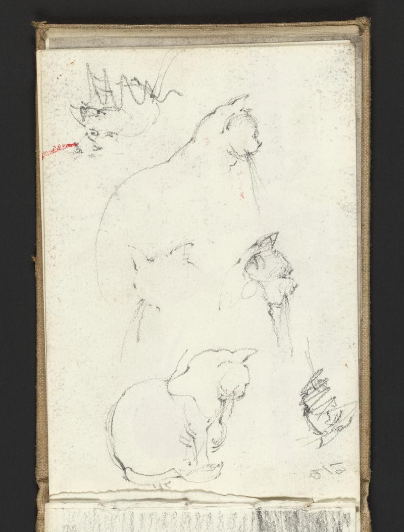 Sketchbook: The Story of Rosy Cheeks and The Match Family, written & illustrated by RHJ; cartoonish drawings of animated ?tomatoes; later-dating sketches of a cat