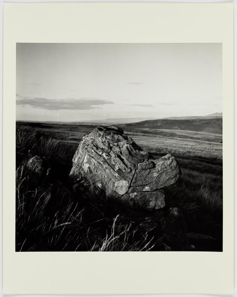 Home from the Hill, to Fan Mawr, A Summer Evening. August 1976