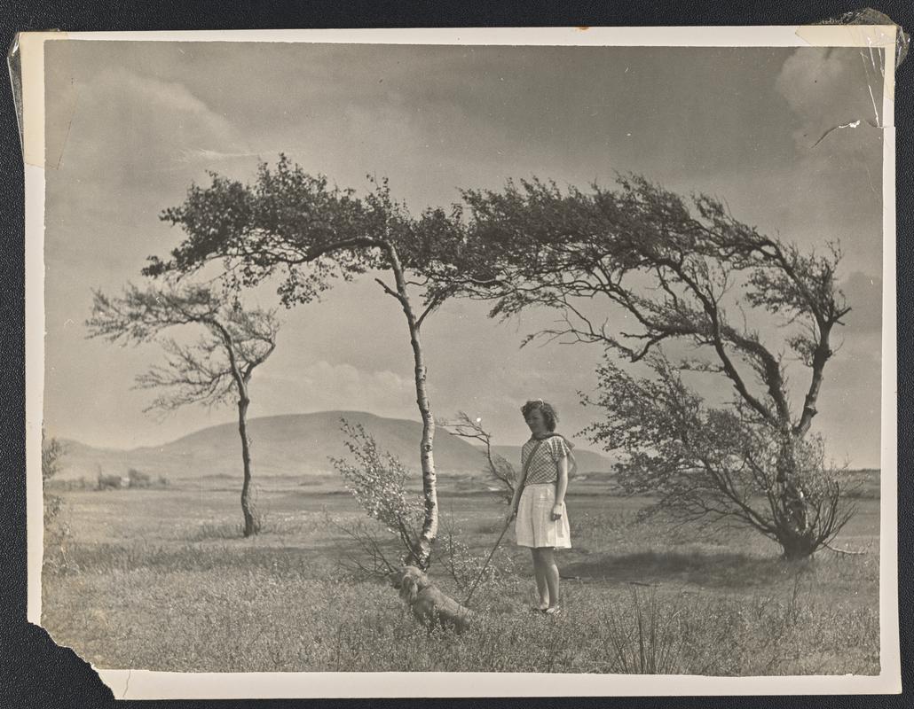Untitled, 'Girl by trees with dog'