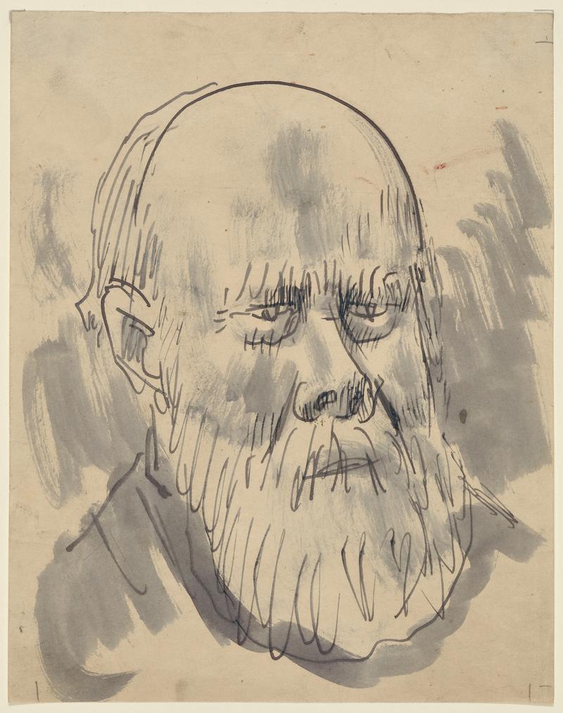 Head of a Bald Man with a Beard