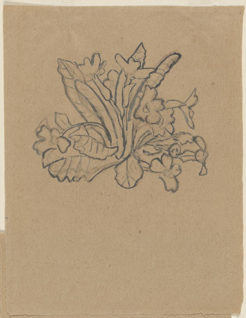 Spray of primroses